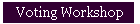 Voting Workshop