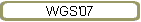 WGS'07