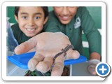 Interesting discoveries in local ecosystem