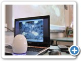 Microscopic bugs projected live onto screen