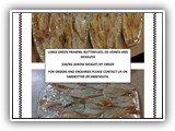 Peeled Prawns