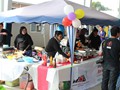 IMG_1329