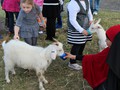 IMG_1537