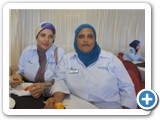 MSEF'2011