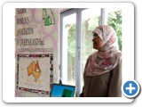 MSEF'2011