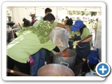 Crescents of Brisbane at the Qld. Multicultural Festival 2010
